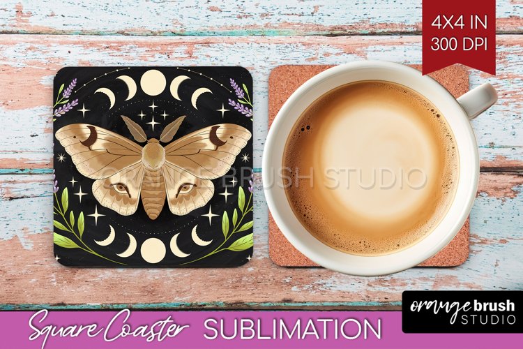 Moth Clipart Image 12
