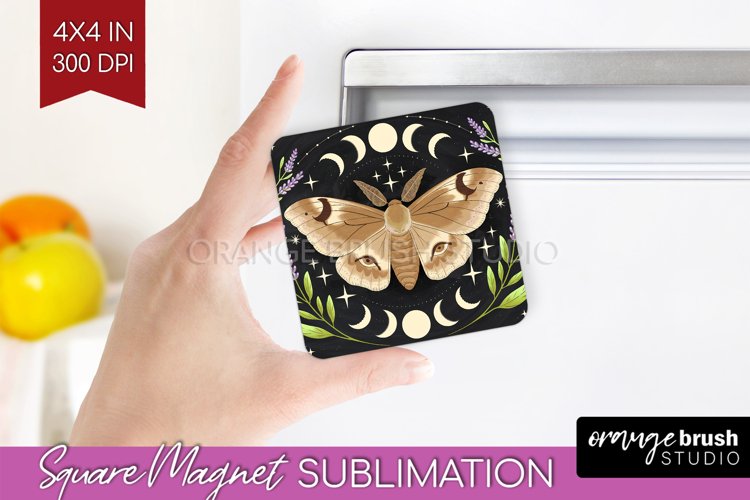 Moth Clipart Image 12