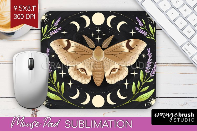 Moth Clipart Image 4