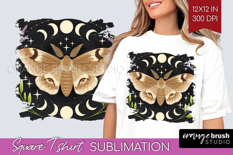 Moth Clipart Image 8