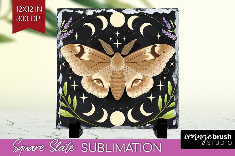Moth Clipart Image 12