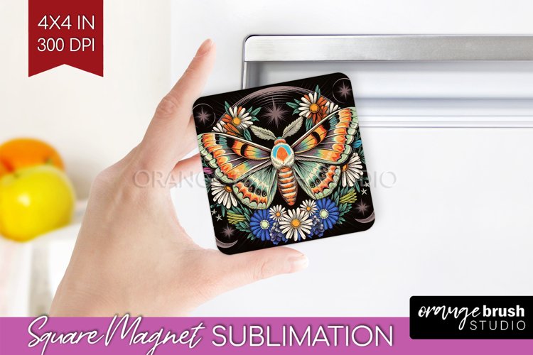 Moth Clipart Image 11