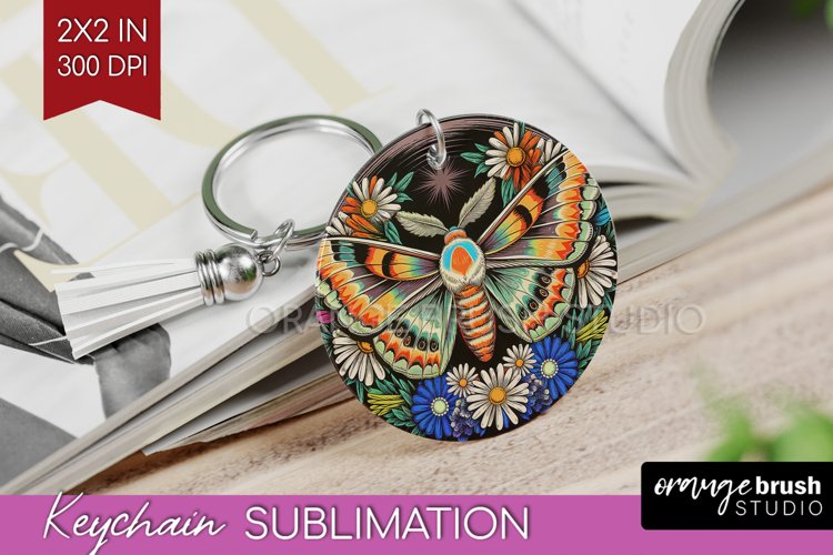 Moth Clipart Image 23