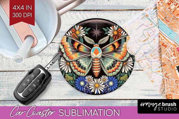 Moth Clipart Image 23