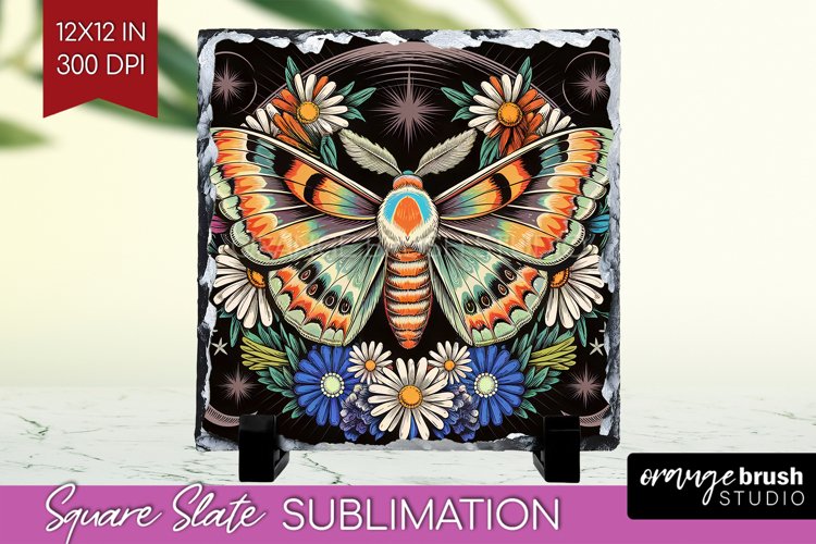 Moth Clipart Image 11