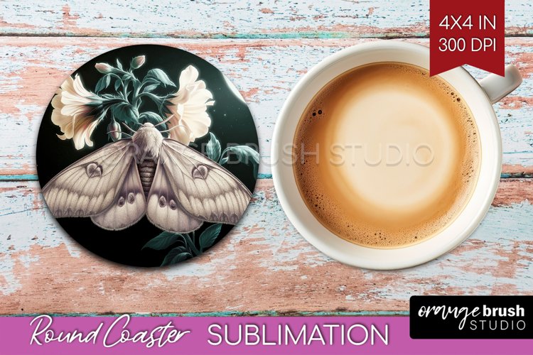 Moth Clipart Image 14