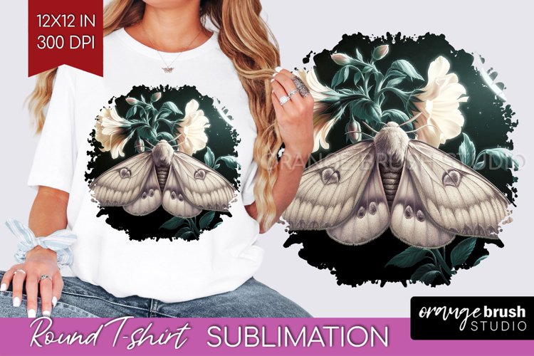Moth Clipart Image 2