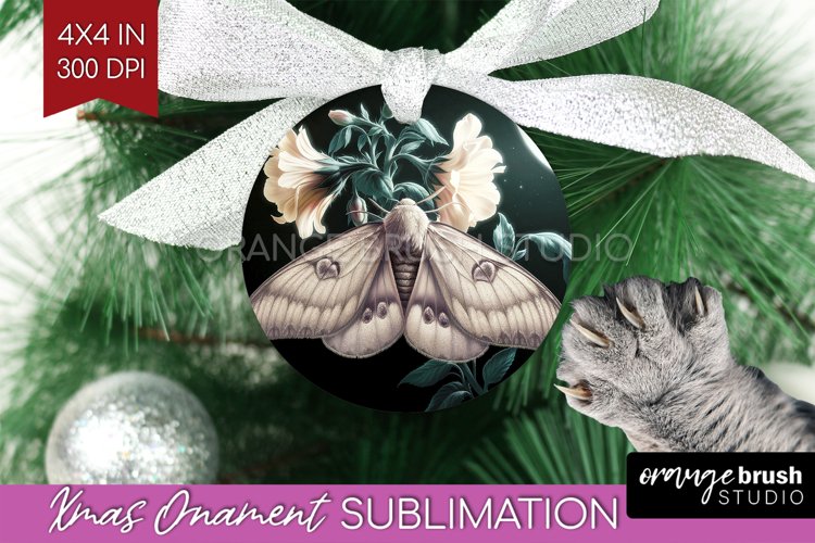 Moth Clipart Image 22