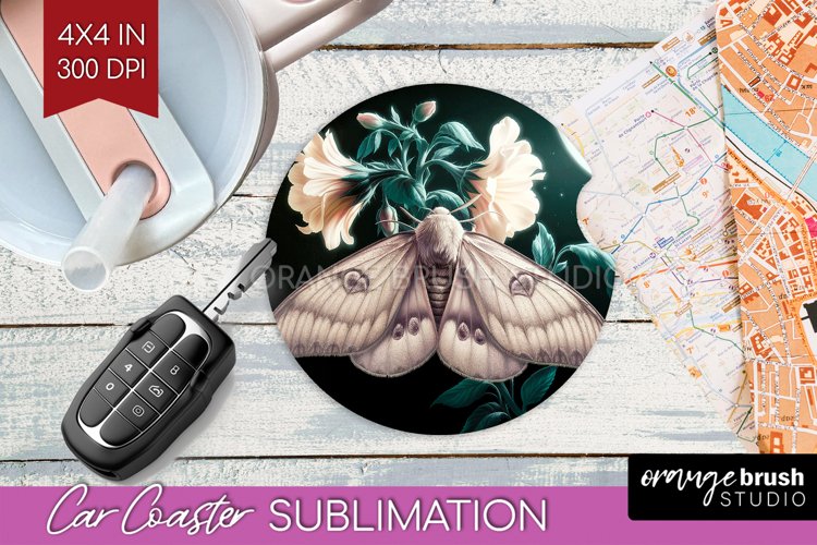 Moth Clipart Image 22
