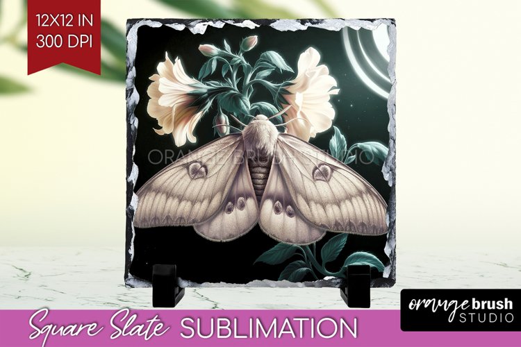 Moth Clipart Image 10