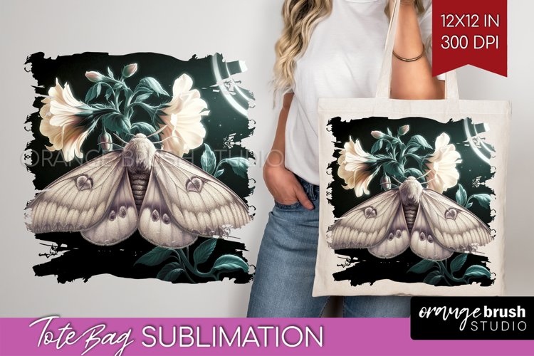 Moth Clipart Image 18