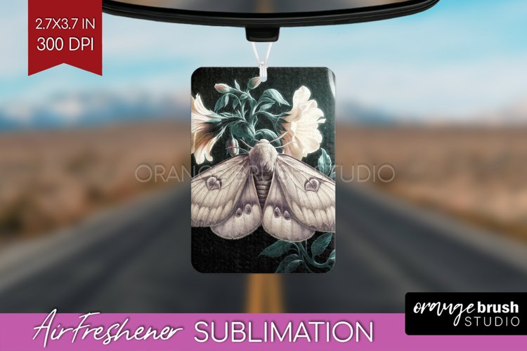 Moth Clipart Image 6