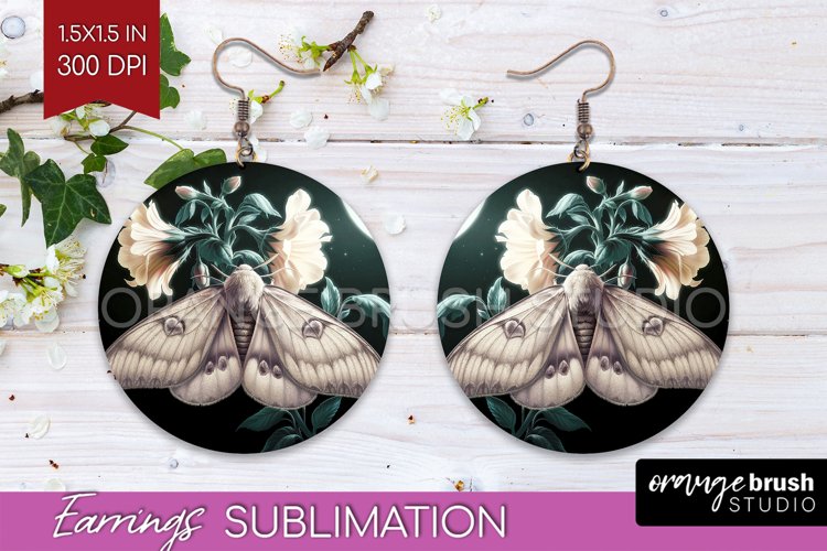Moth Clipart Image 2