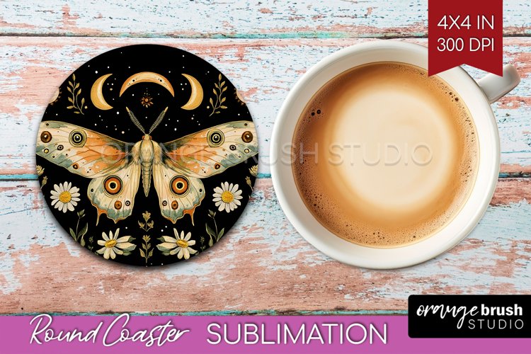 Moth Clipart Image 12