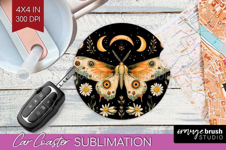 Moth Clipart Image 20