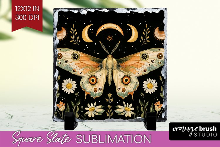 Moth Clipart Image 8