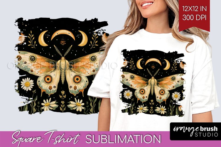 Moth Clipart Image 4
