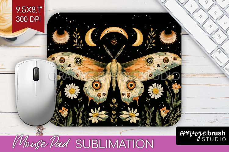 Moth Clipart Image 24