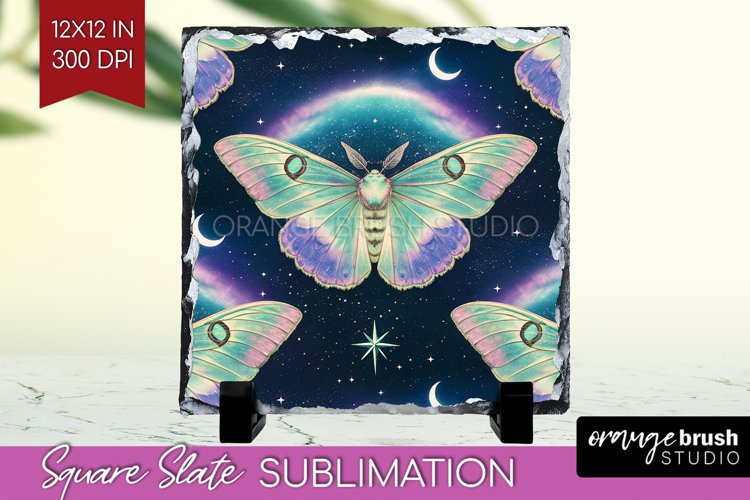 Moth Clipart Image 7