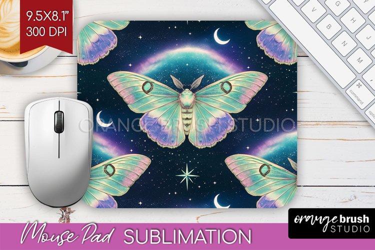 Moth Clipart Image 23