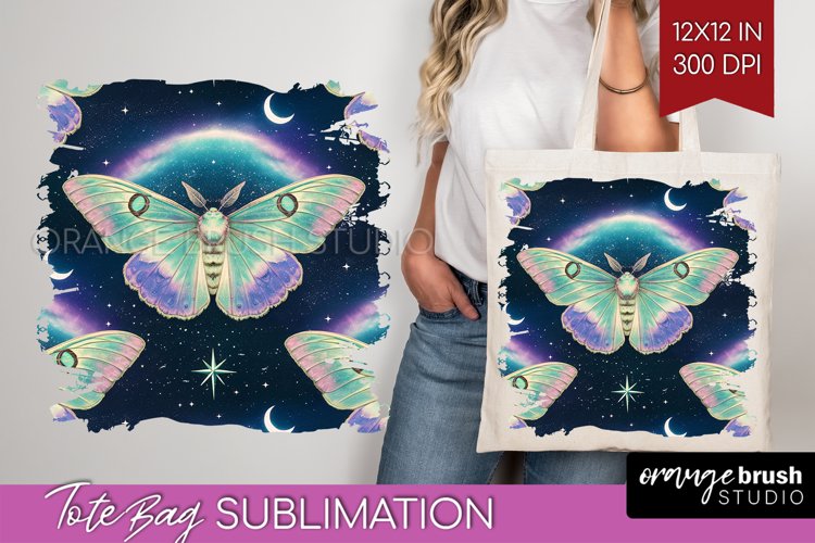 Moth Clipart Image 15