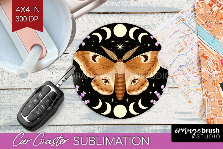 Moth Clipart Image 18