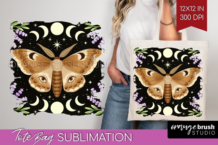 Moth Clipart Image 14
