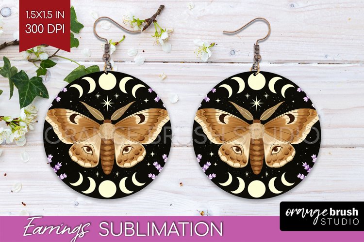 Moth Clipart Image 22