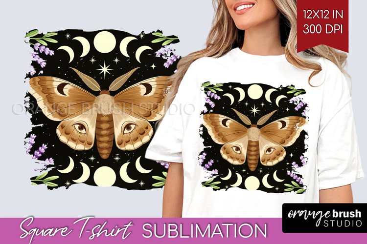 Moth Clipart Image 2