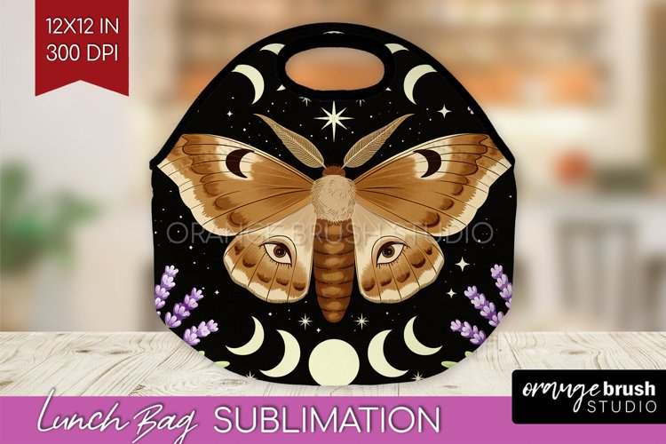 Moth Clipart Image 2