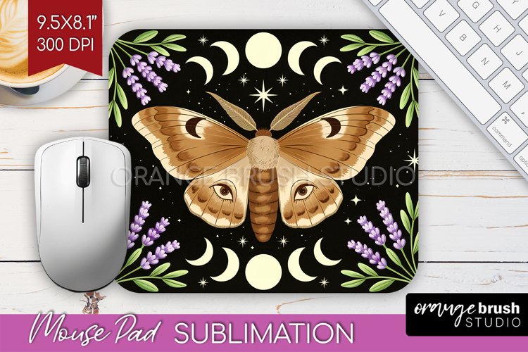 Moth Clipart Image 22