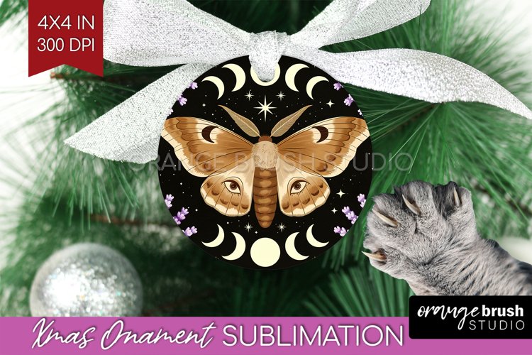 Moth Clipart Image 18