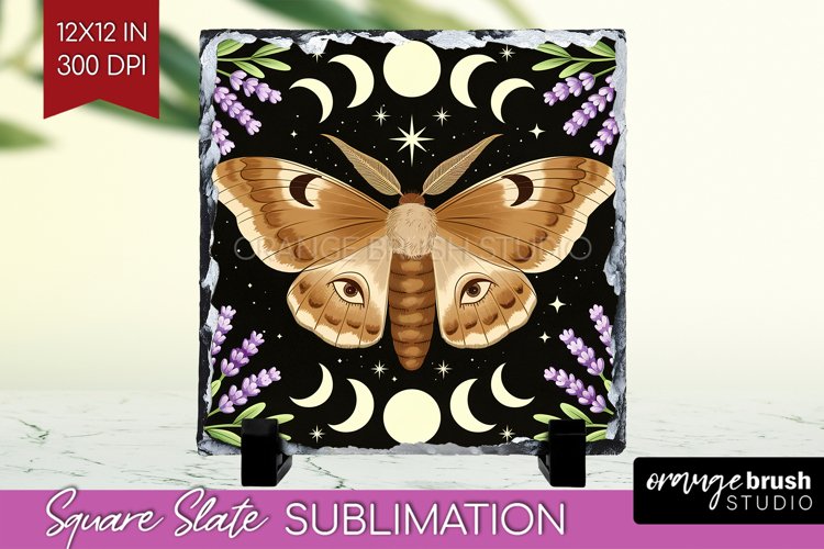 Moth Clipart Image 6