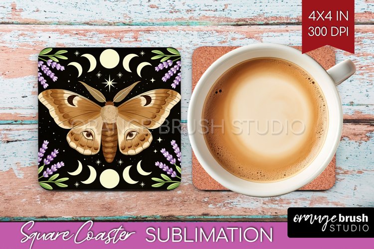 Moth Clipart Image 6