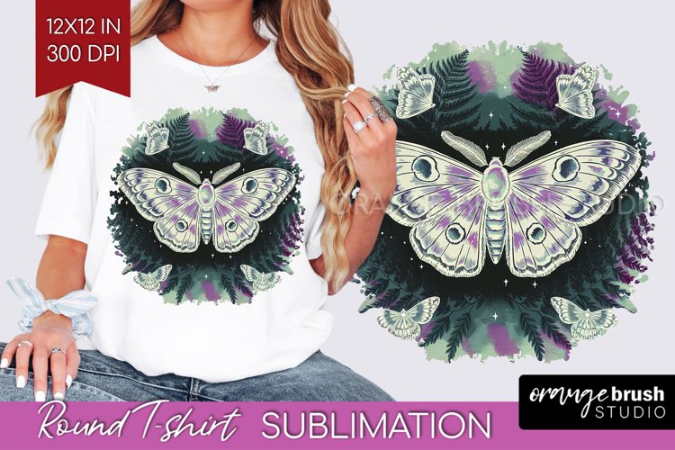 Moth Clipart Image 21