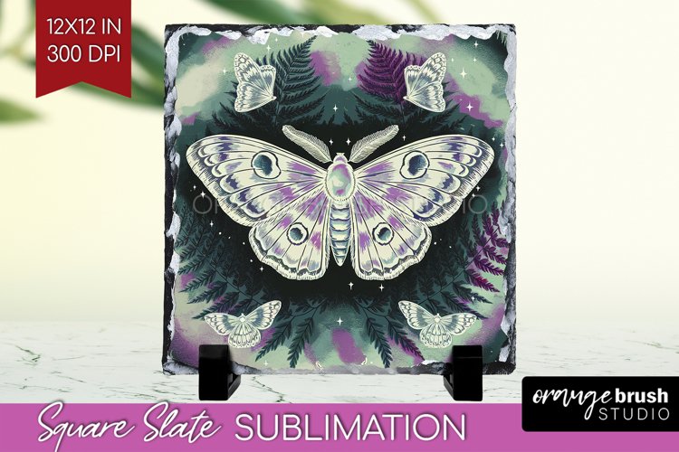 Moth Clipart Image 5