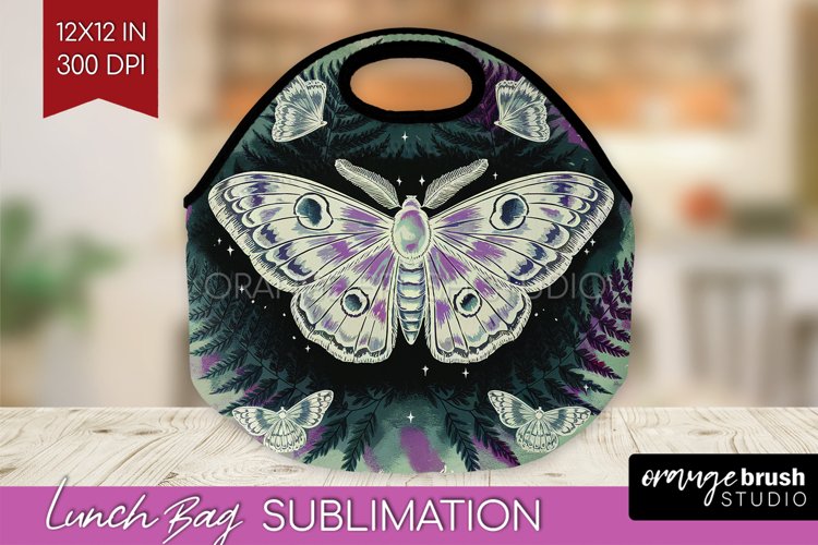 Moth Clipart