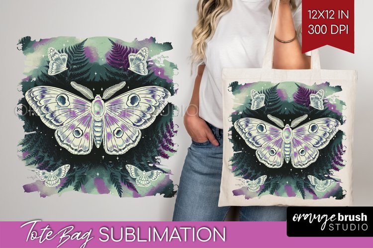 Moth Clipart Image 13