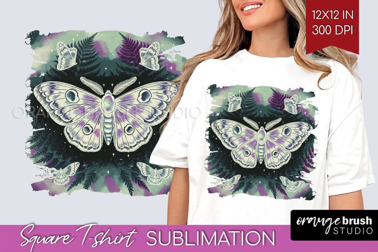 Moth Clipart