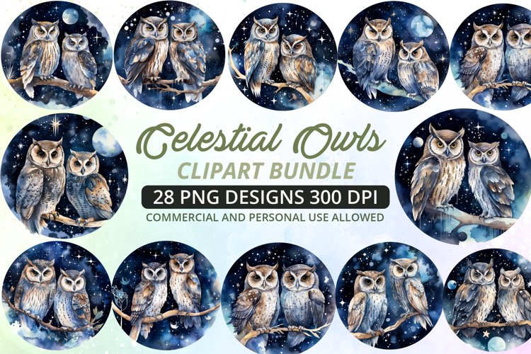 Owl Clipart Image 13