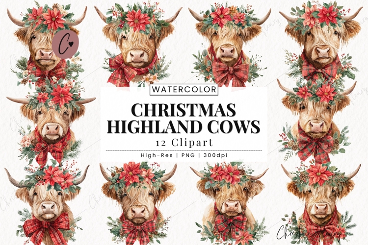 Highland Cow Png Image 22