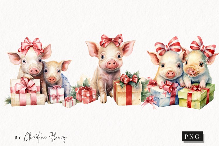 Pigs Png Image 7