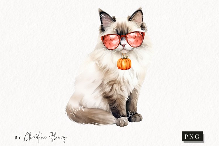 Watercolor Ragdoll | Fall Cat PNG