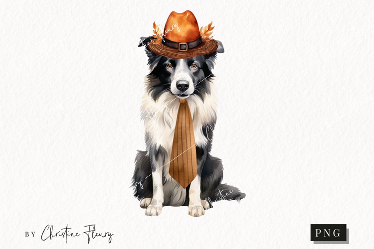 Border Collie Clipart Image 6
