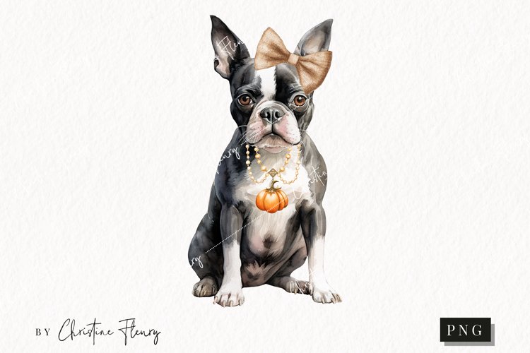 Boston Terrier Clipart Image 20