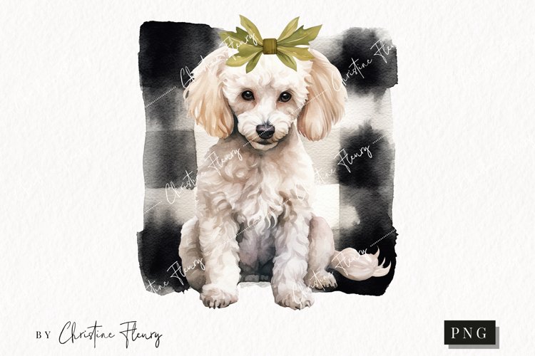 Poodle Png Image 16