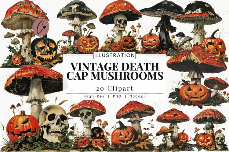 Mushrooms Png Image 17