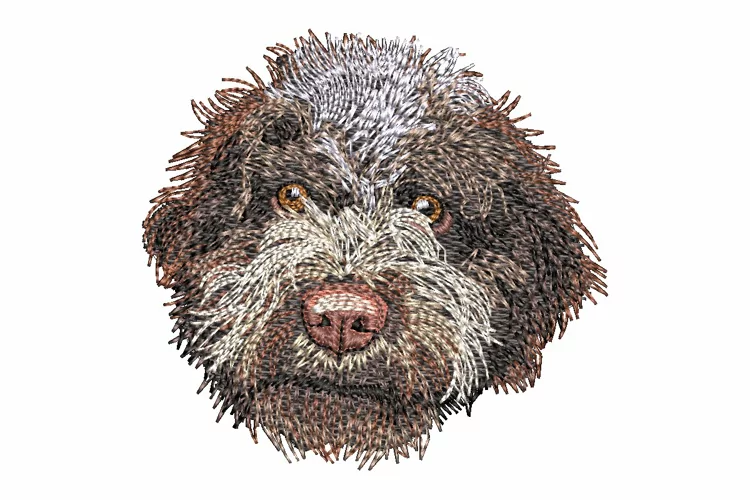 Lagotto Ramagnolo Embroidery Design