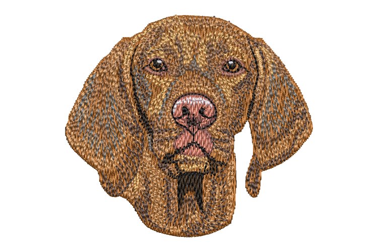 Vizsla embroidery design example image 1