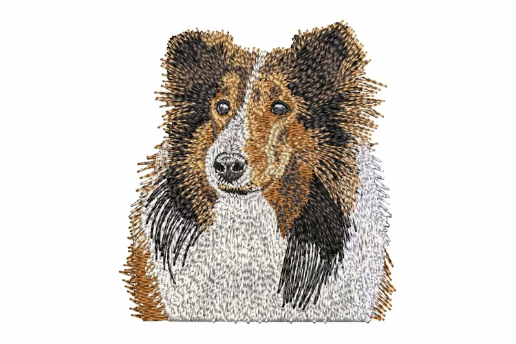 Shetland Sheepdog embroidery file - Realistic Dod